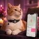 Collier traceur chat Trackeur Pro — localisation via Apple Find My