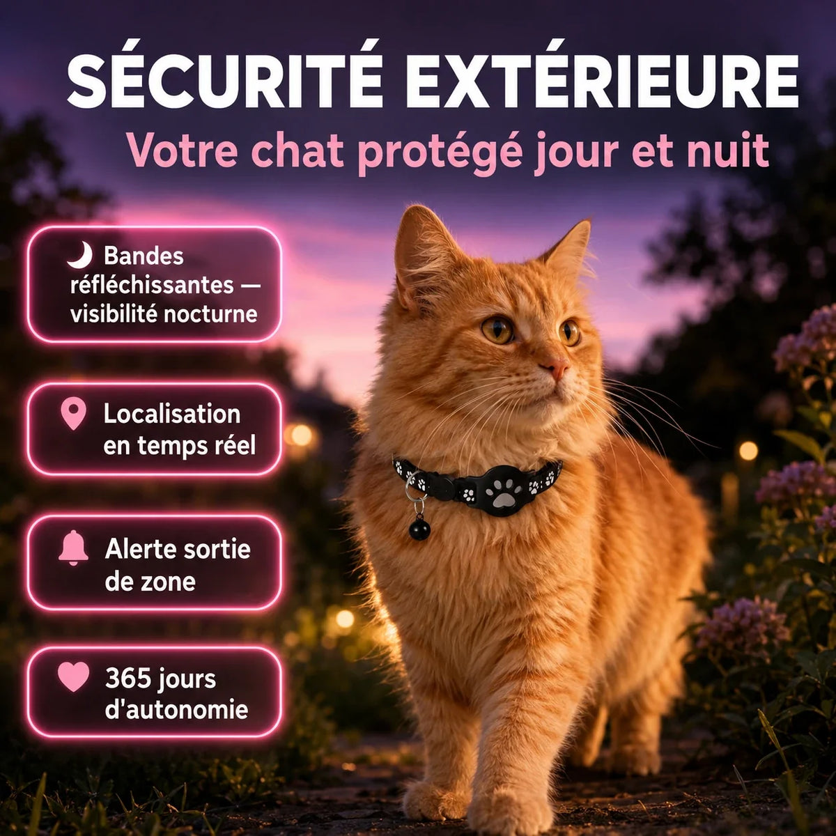 Collier traceur chat — port extérieur et sécurité nocturne