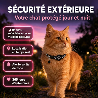 Collier traceur chat — port extérieur et sécurité nocturne